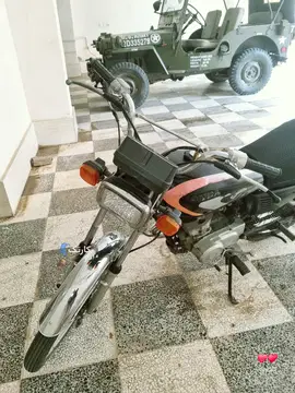 ۱۲۵ توریست مدارک دار - تصویر 2