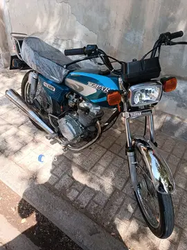 تیزپر توس‏، 125‏ - تصویر 1