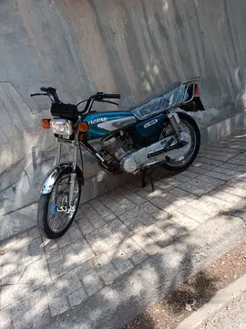 تیزپر توس‏، 125‏ - تصویر 4