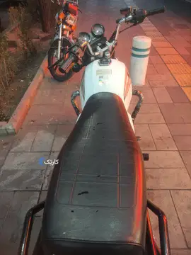 باکسر هانی - تصویر 2