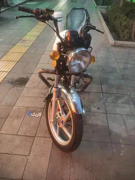 باکسر هانی - تصویر 4