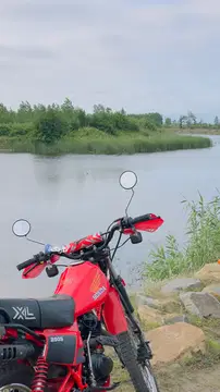 پیشرو‏، تریل 250‏ - تصویر 3