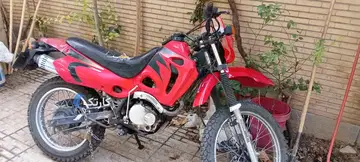 پیشرو‏، تریل 250‏