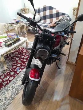بنلی‏، لئون چینو 249‏ - تصویر 3