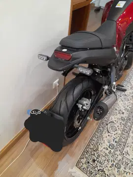 بنلی‏، لئون چینو 249‏ - تصویر 4