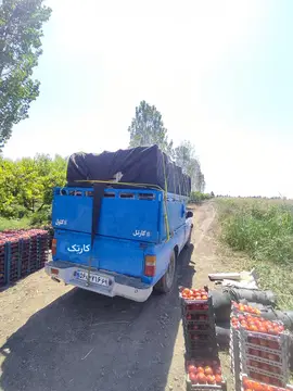 زامیاد‏، وانت نیسان‏، دوگانه سوز‏ - تصویر 2