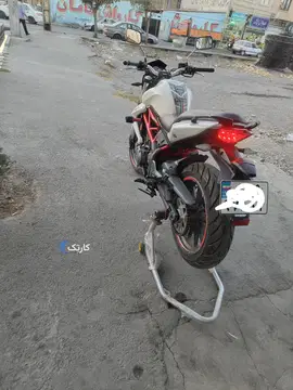 بنلیcc 300جفت سیلند - تصویر 2