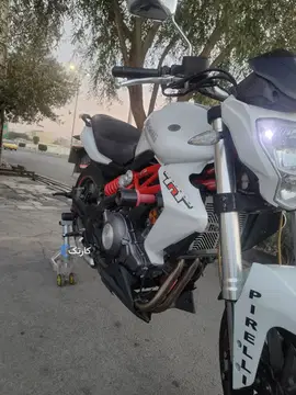 بنلیcc 300جفت سیلند - تصویر 1