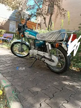 تیزپر توس‏، 125‏ - تصویر 3