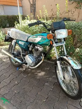 تیزپر توس‏، 125‏ - تصویر 1