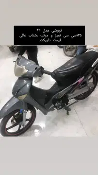 تک برگ سند - تصویر 2