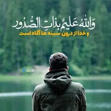 پژو‏، 207‏، دنده ای TU5‏ - تصویر 3