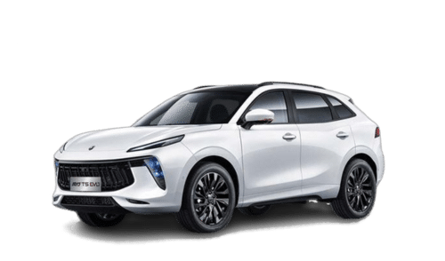 لاماری ایما